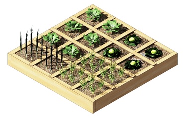 Square Foot Garden